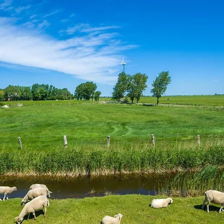 Ferienwohnung-kraft * Petersdorf auf Fehmarn